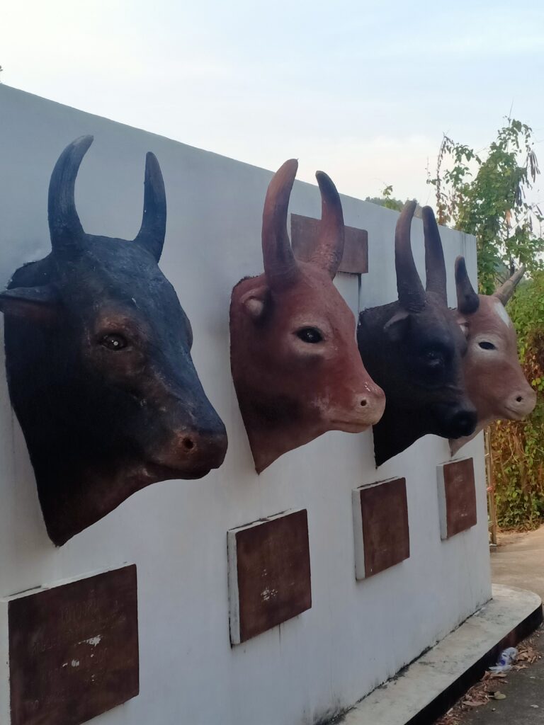 Statuary depicting bulls found near Khao Chang Hai cave